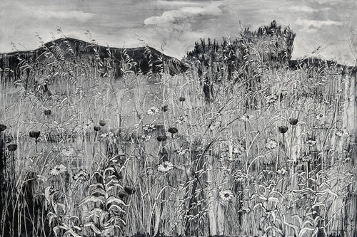 Wild flowers and grasses, Kephalonia