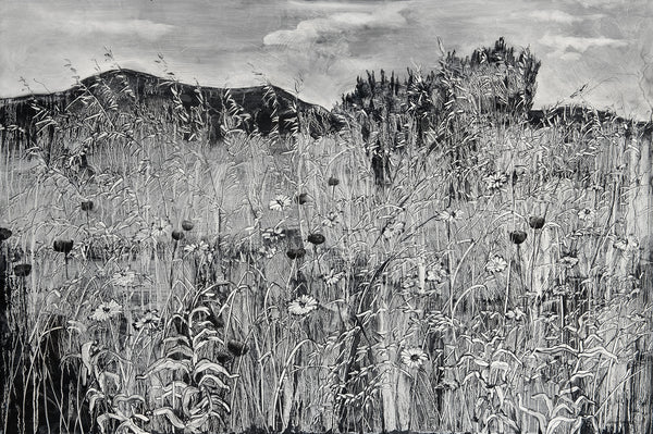 Wild flowers and grasses, Kephalonia