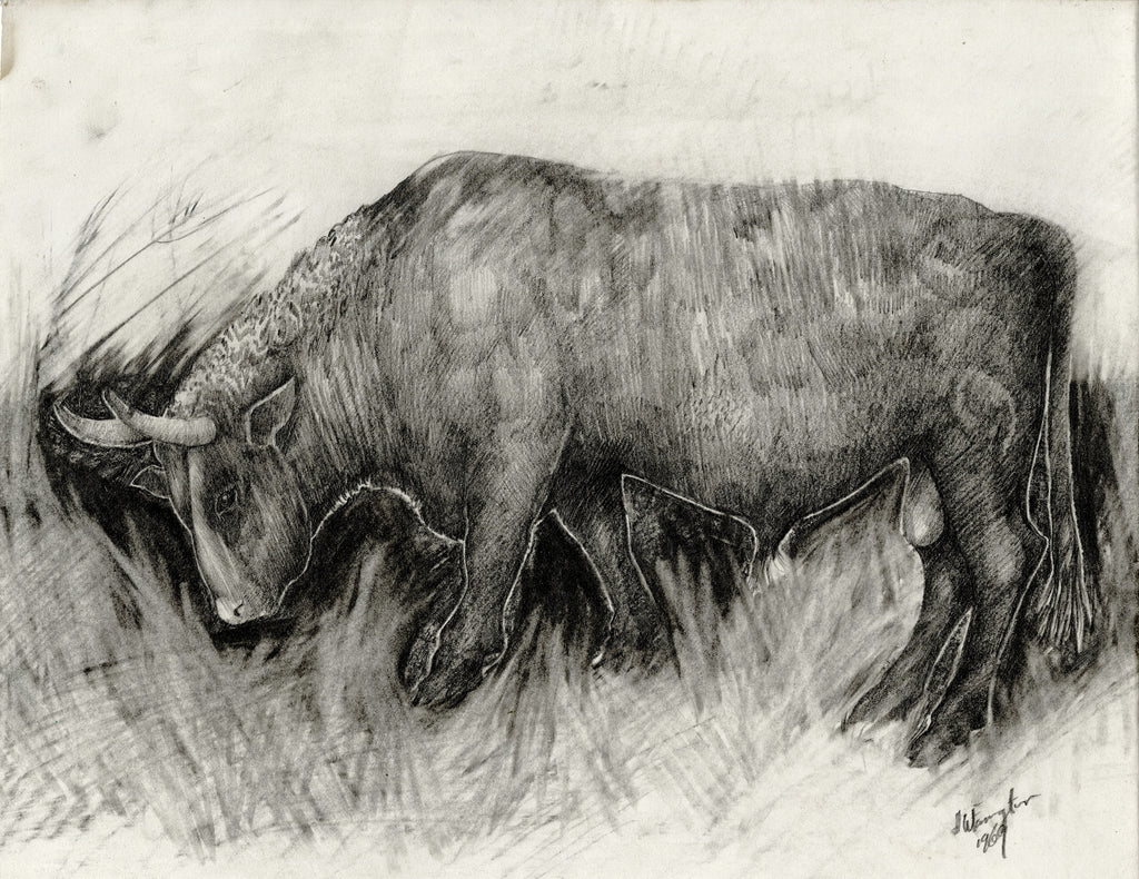 Bull