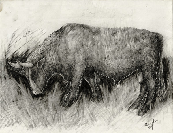 Bull