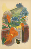 Set of 6 Original Colour Lithographs