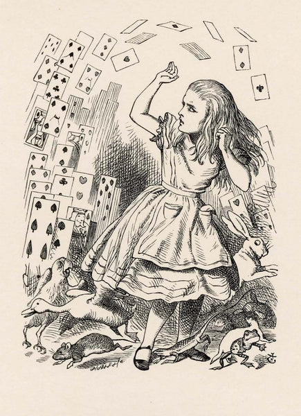 At this the whole pack rose up into the air, and came flying down upon her