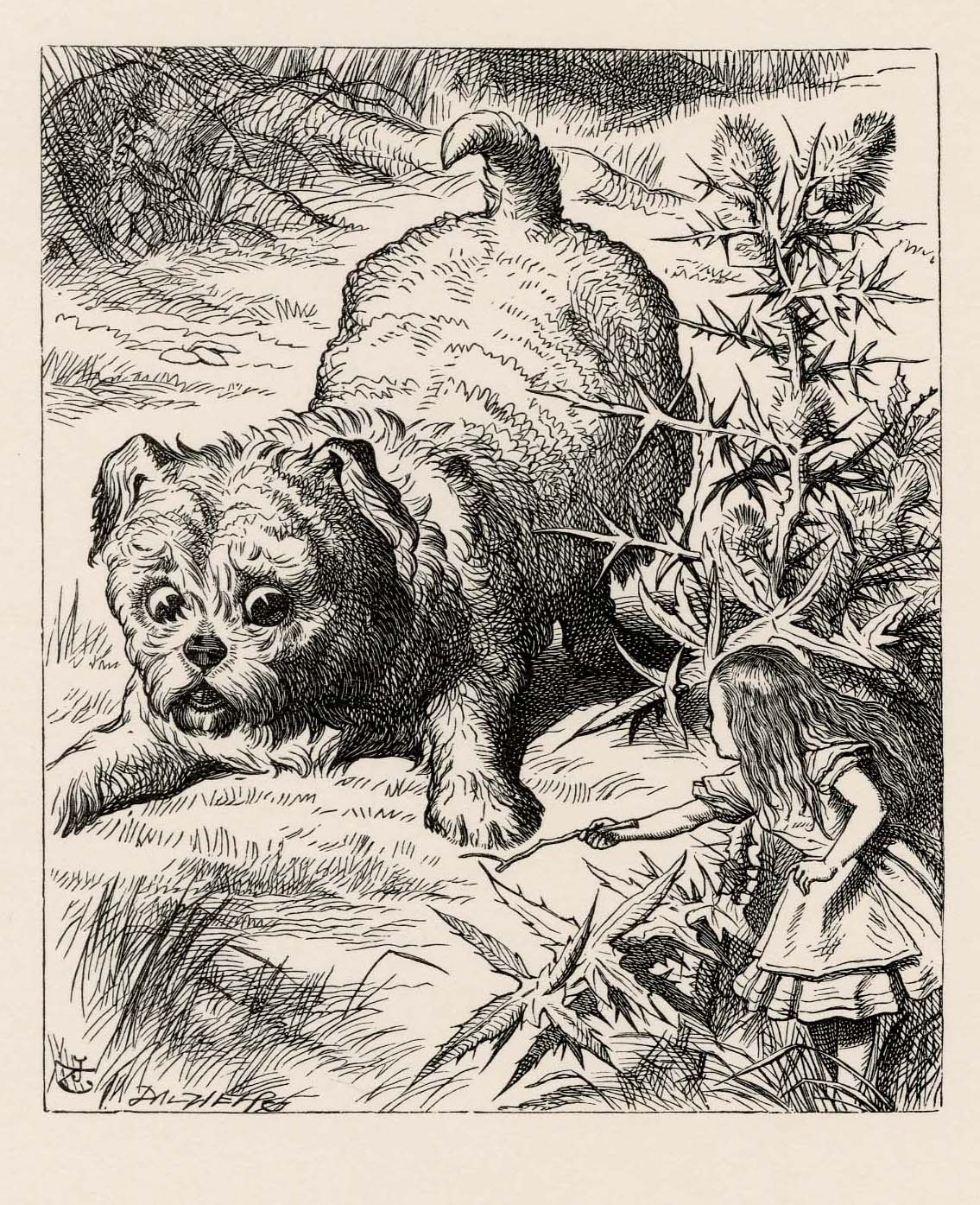 She picked up a little bit of stick, and held it out to the puppy