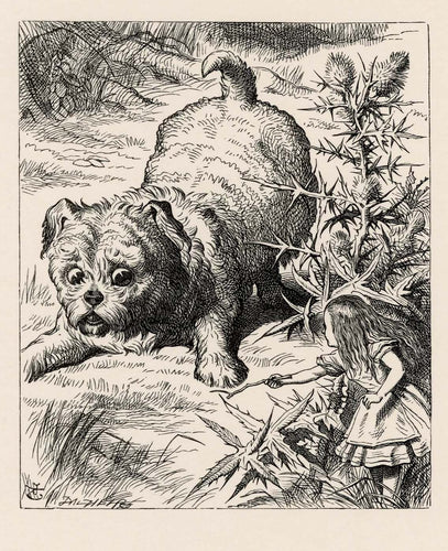 She picked up a little bit of stick, and held it out to the puppy