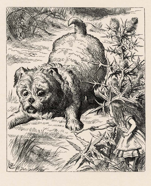 She picked up a little bit of stick, and held it out to the puppy