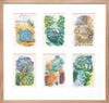 Set of 6 Original Colour Lithographs