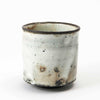Tea Cup