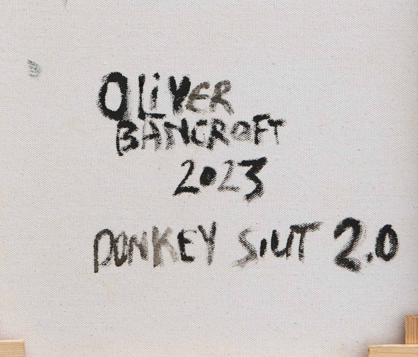 Donkey Suit 2.0
