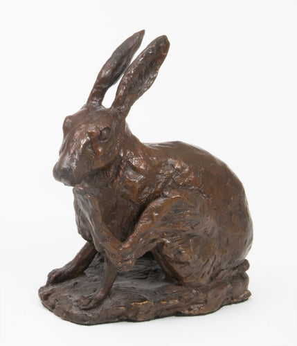 Hare II