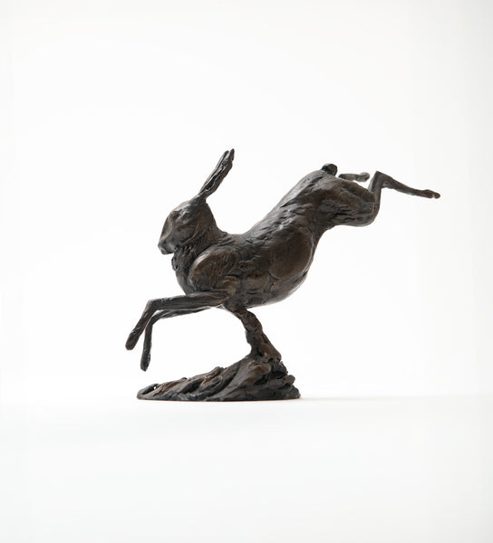Hare Leaping