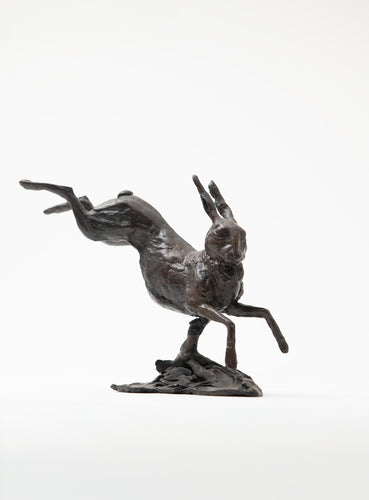 Hare Leaping