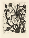 L'Araignée