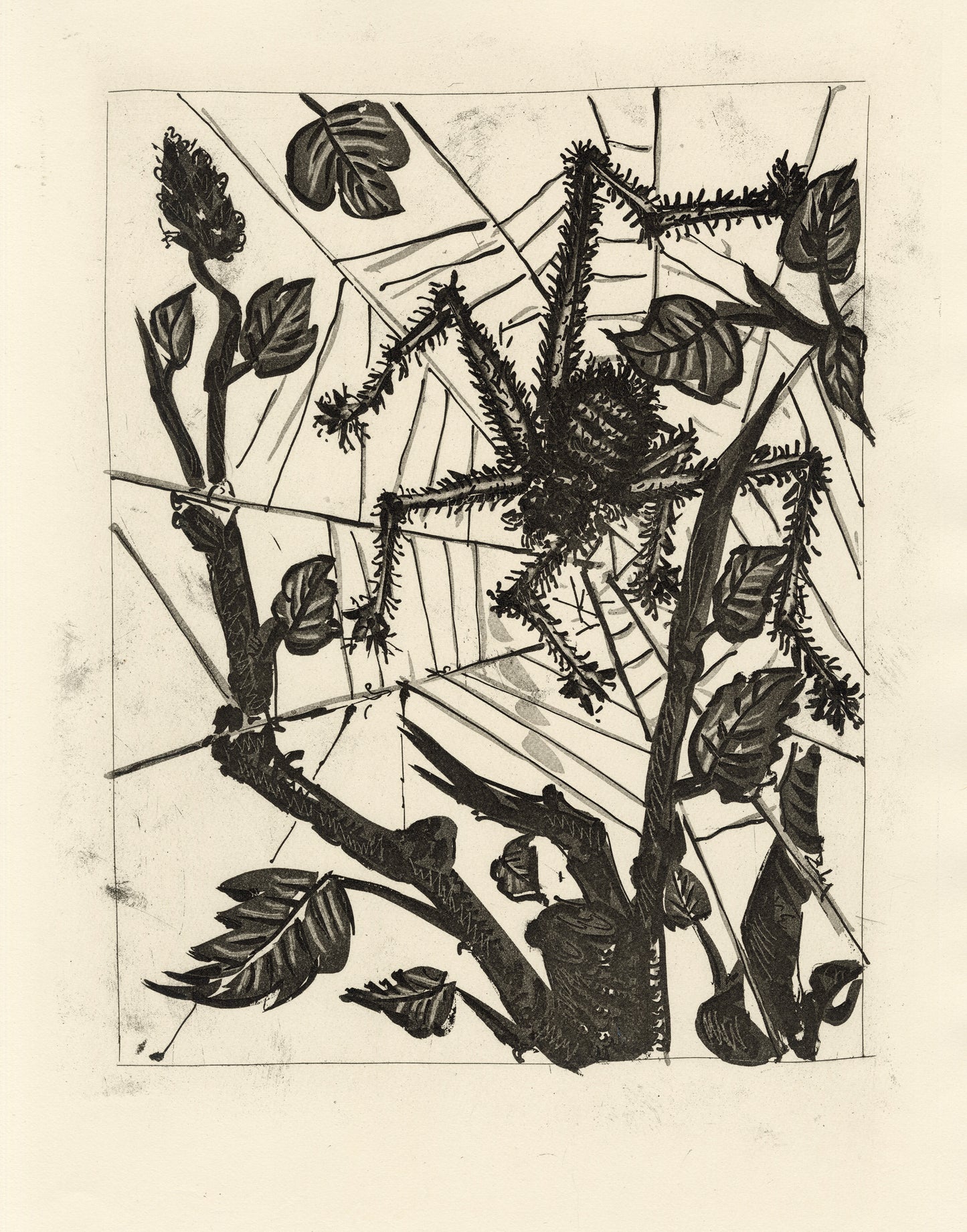L'Araignée