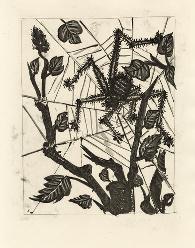 L'Araignée