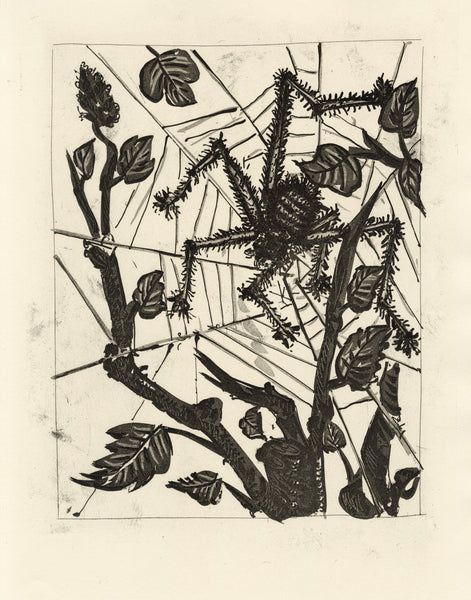 L'Araignée