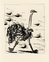L'Autruche