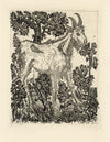 La Chèvre