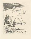 La Lione