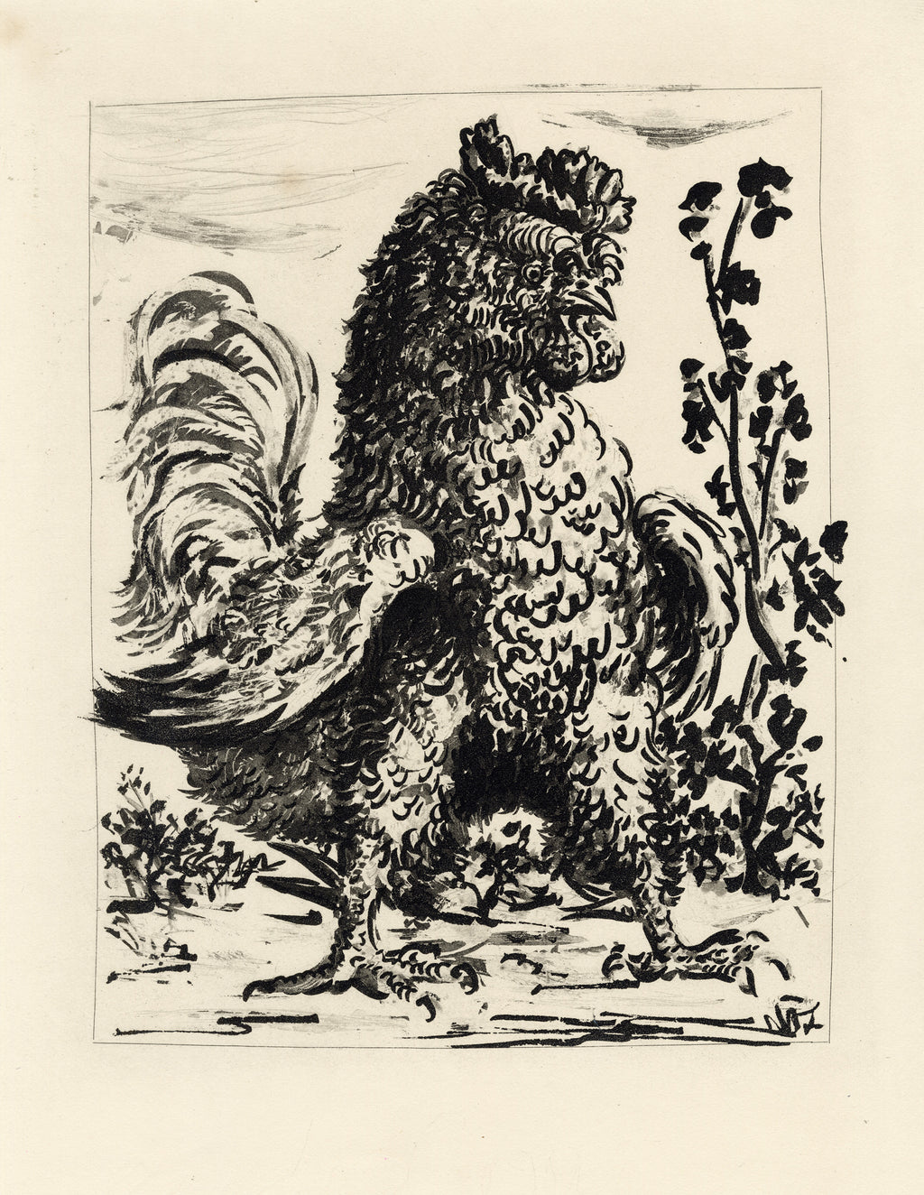 Le Coq