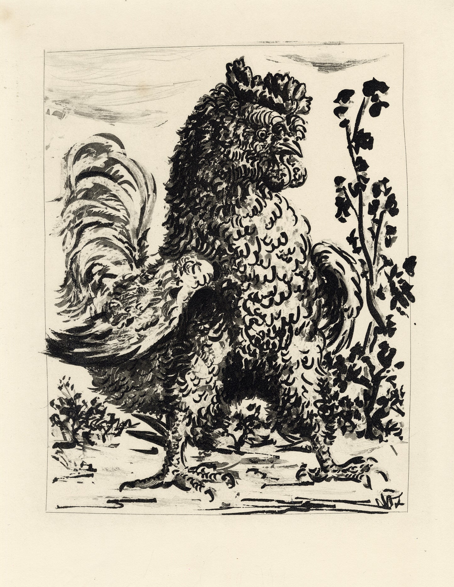 Le Coq
