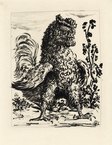 Le Coq