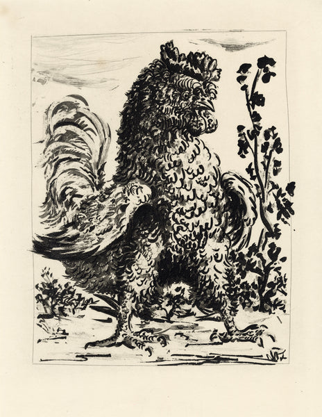 Le Coq