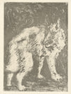 Le Loup