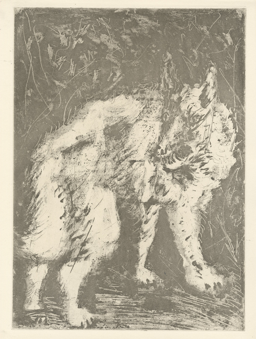 Le Loup