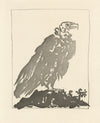 Le Vautour