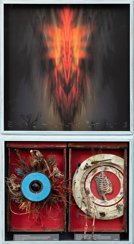 The Book of Divine Works