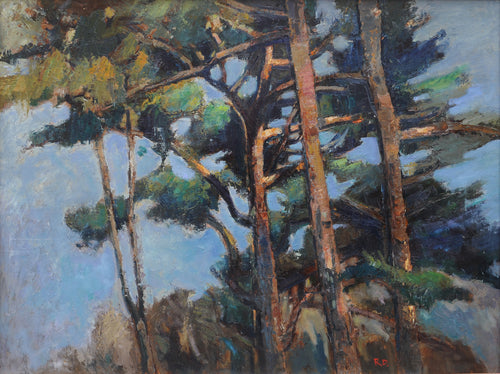 Tall Trees