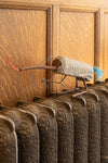 Grey-Roller Weevil