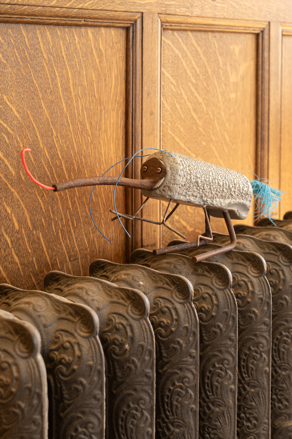 Grey-Roller Weevil