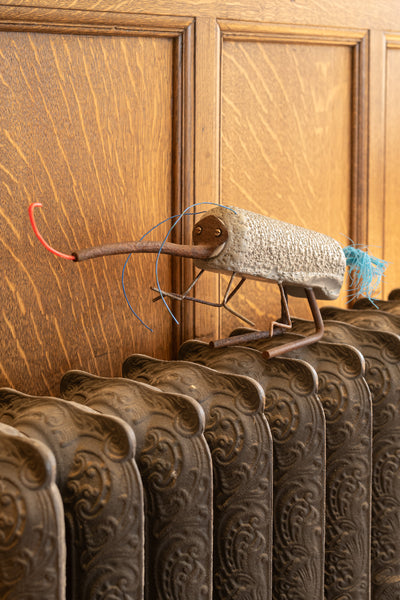 Grey-Roller Weevil