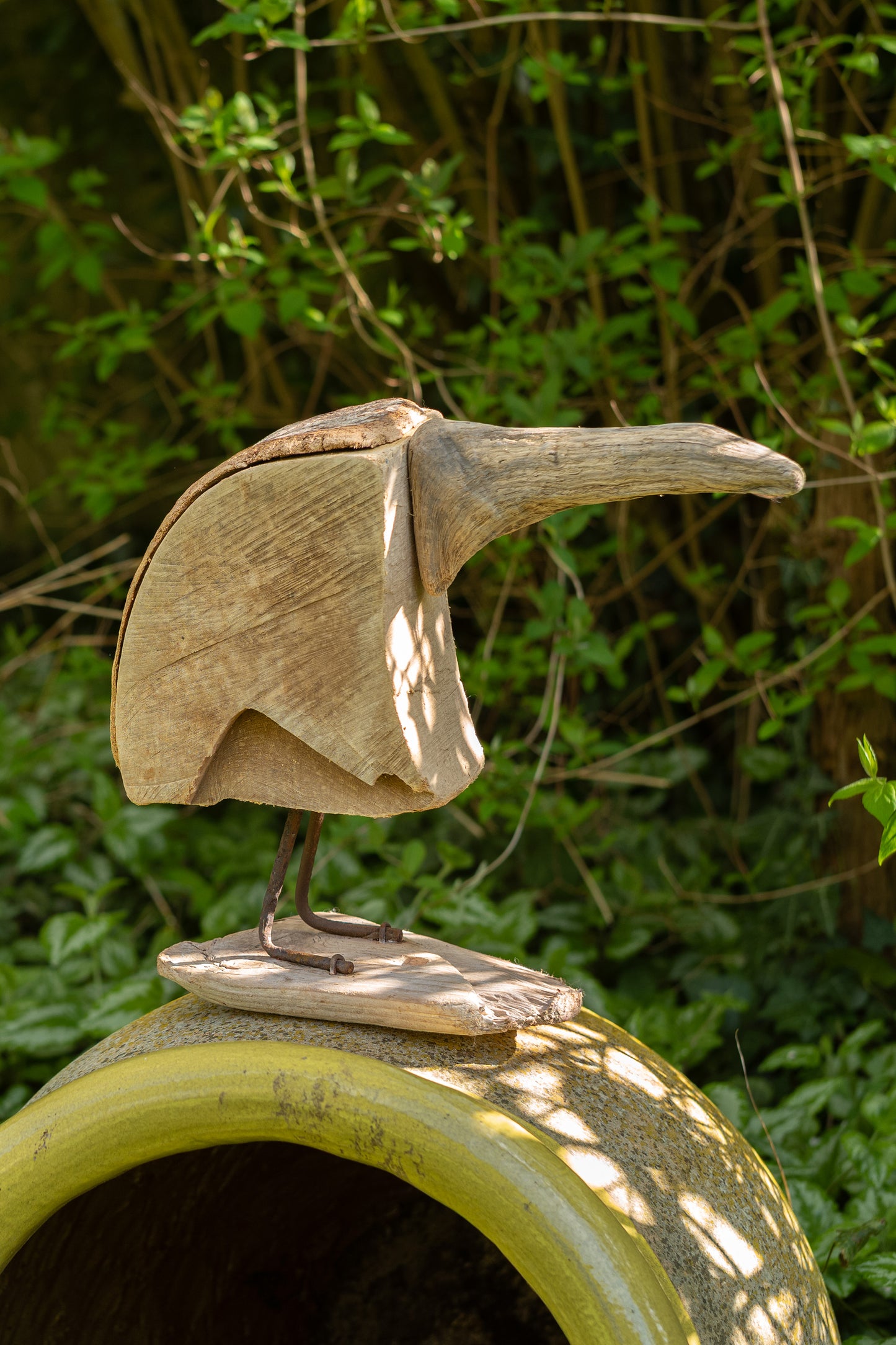 Goldmark's Kiwi