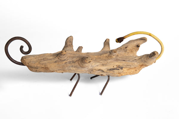 A Diapsid