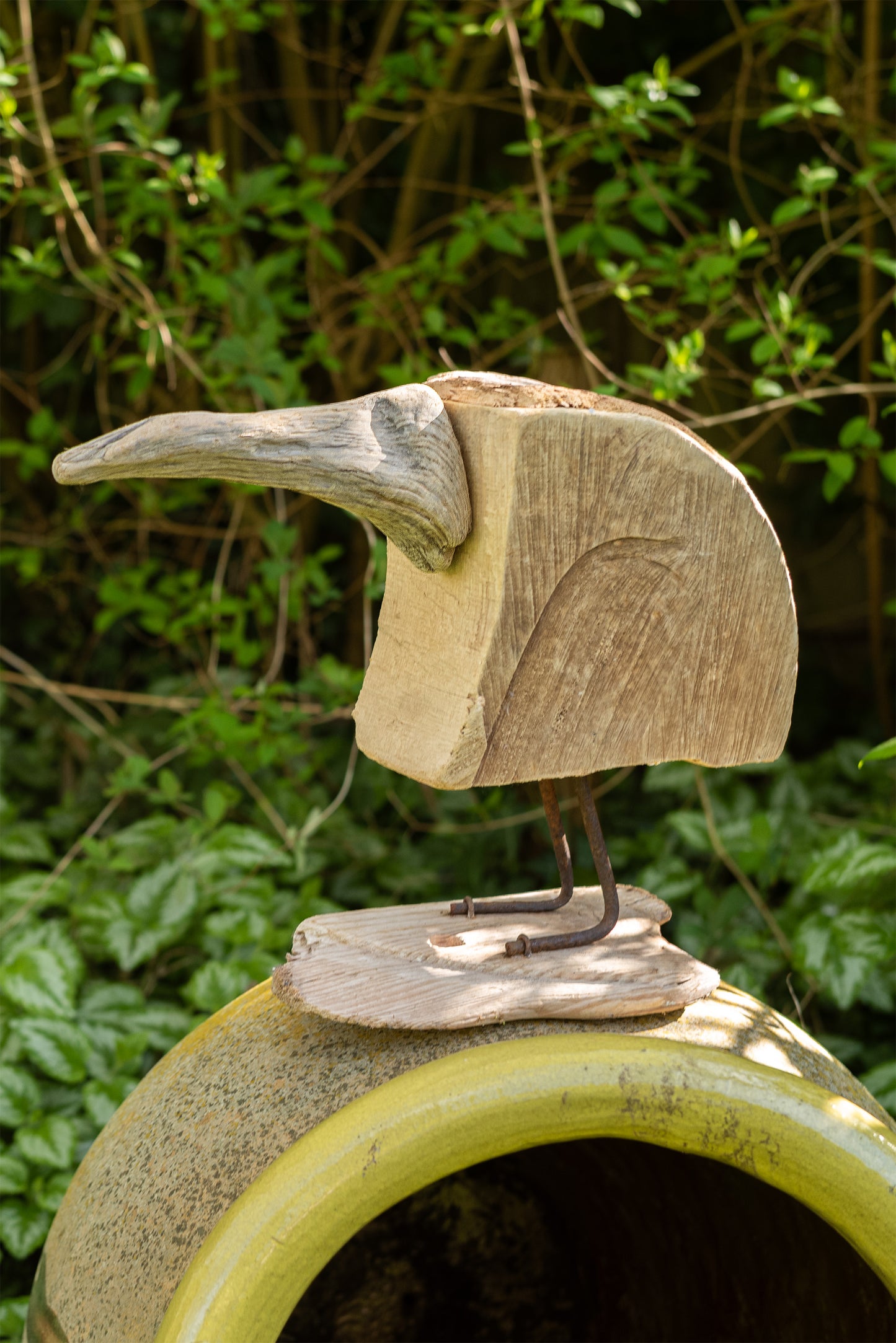 Goldmark's Kiwi