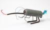 Grey-Roller Weevil