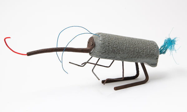 Grey-Roller Weevil