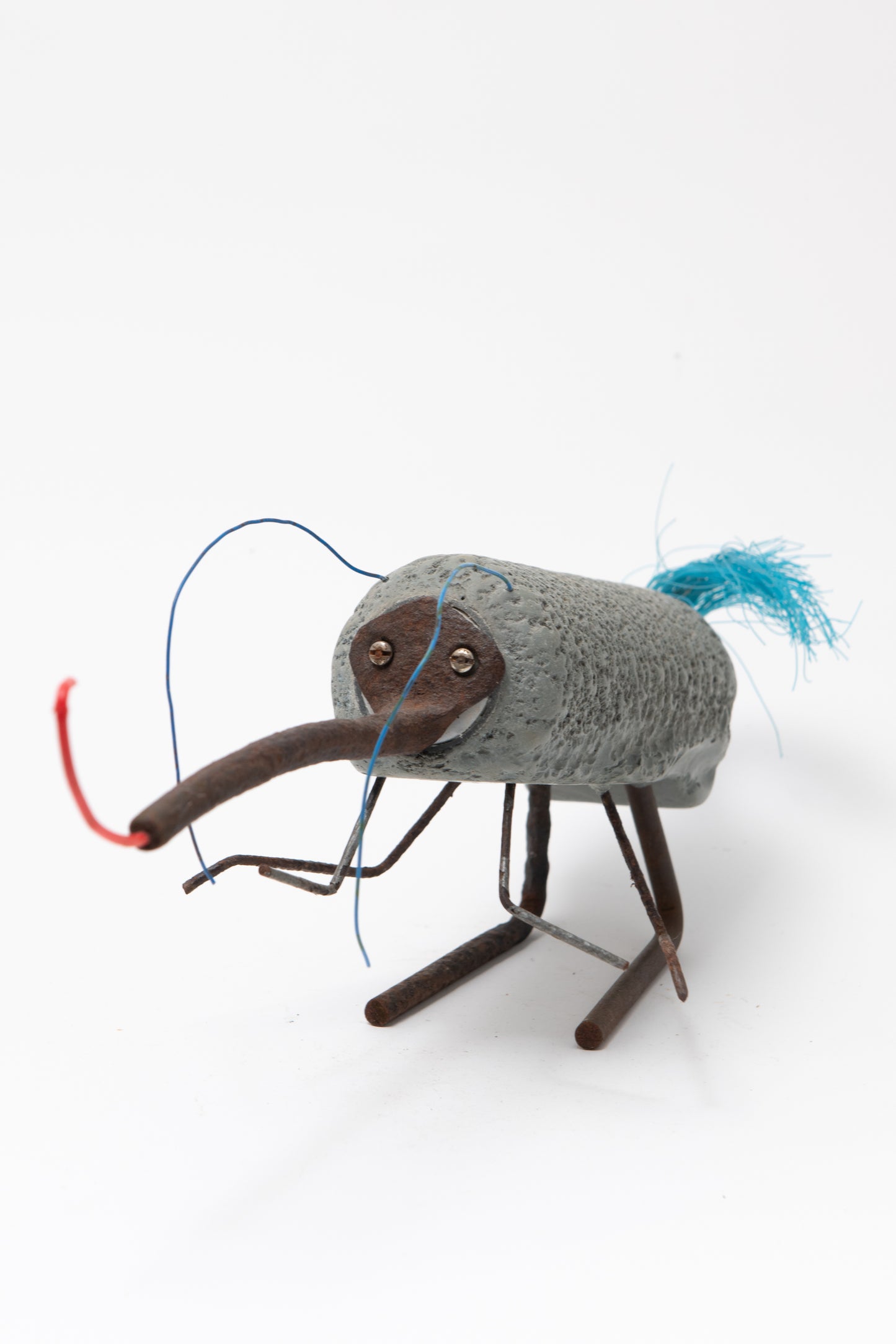 Grey-Roller Weevil