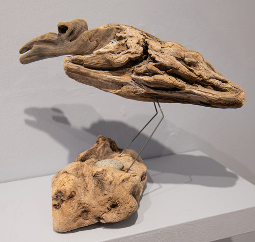 Old Forest Bird III