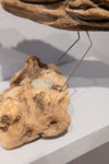 Old Forest Bird III