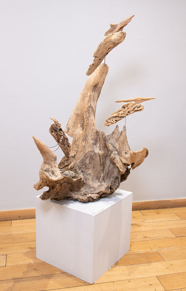 Old Forest Fossils