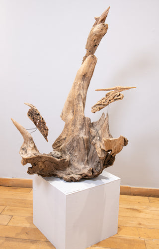 Old Forest Fossils