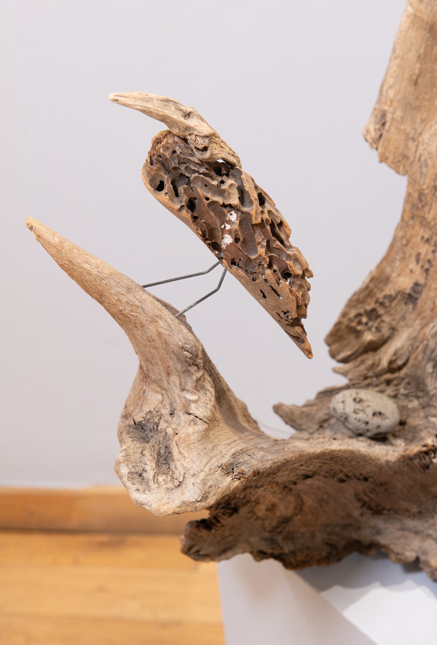 Old Forest Fossils