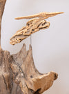 Old Forest Fossils