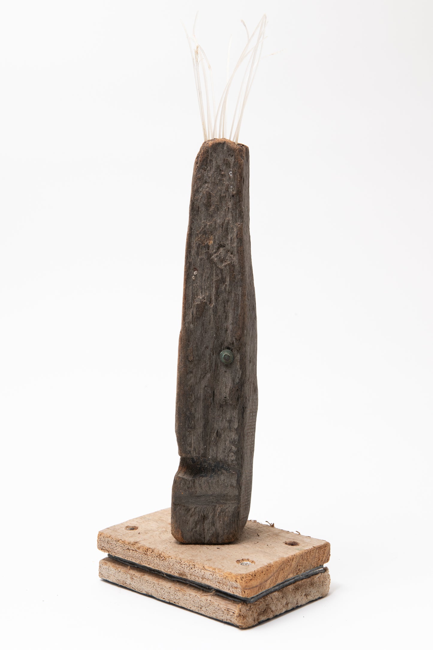 Primitive