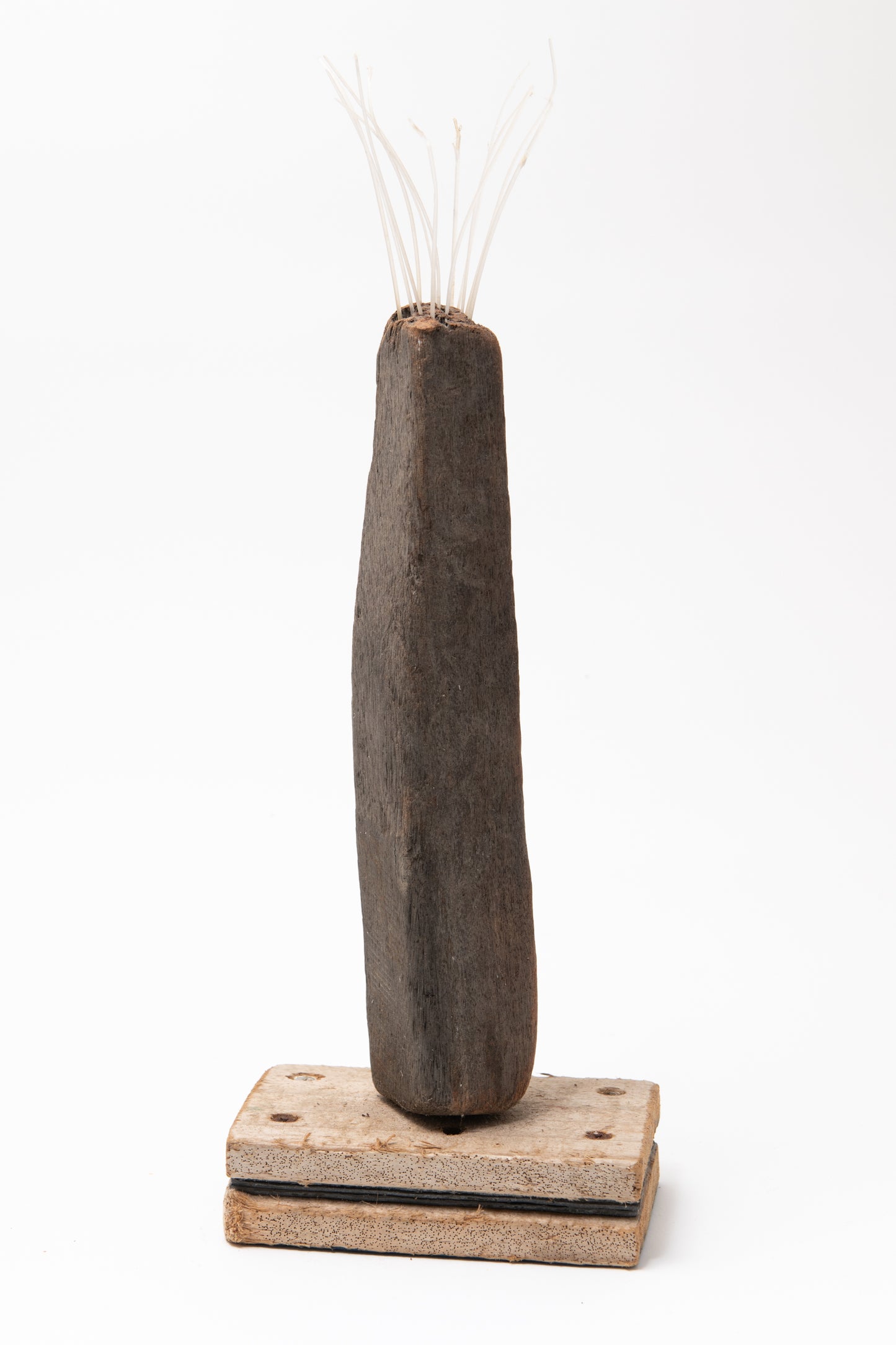 Primitive