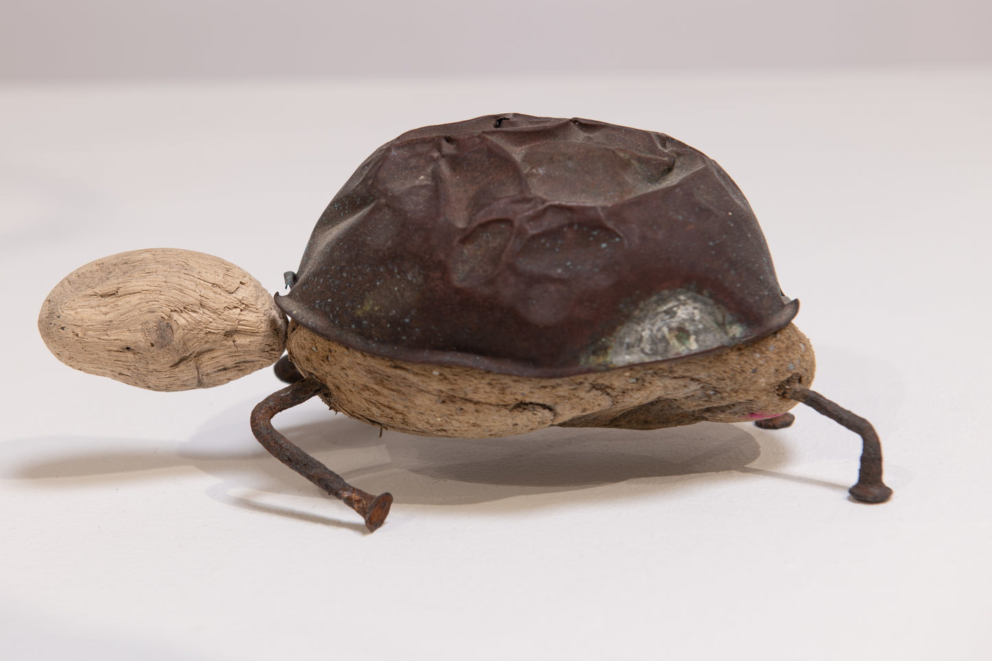 Tortoise