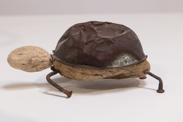 Tortoise